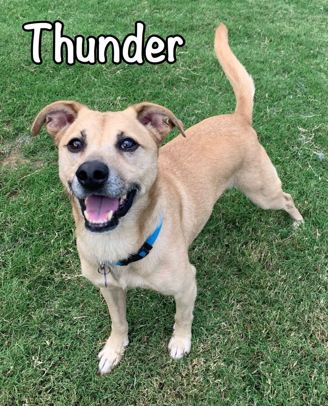 Thunder